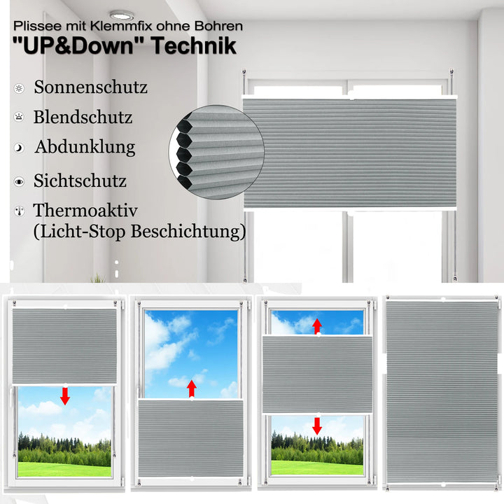 Pleated Blind - Top Down Bottom Up