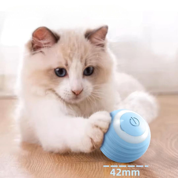 Smart Cat Ball Toy