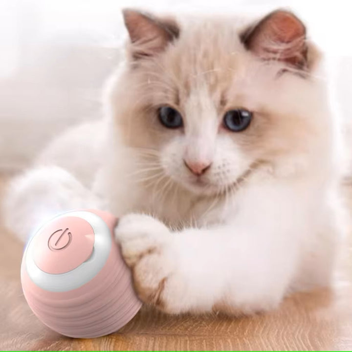 Smart Cat Ball Toy