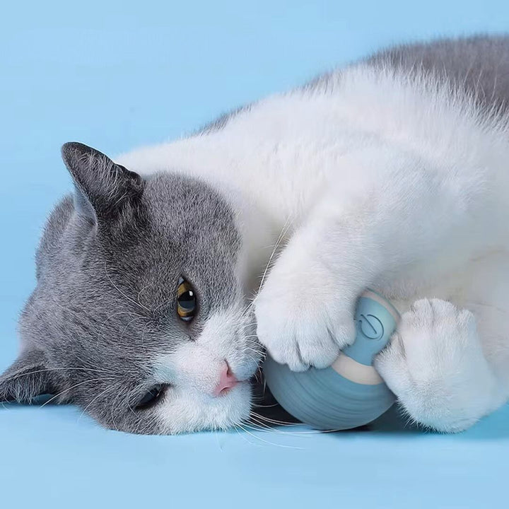 Smart Cat Ball Toy