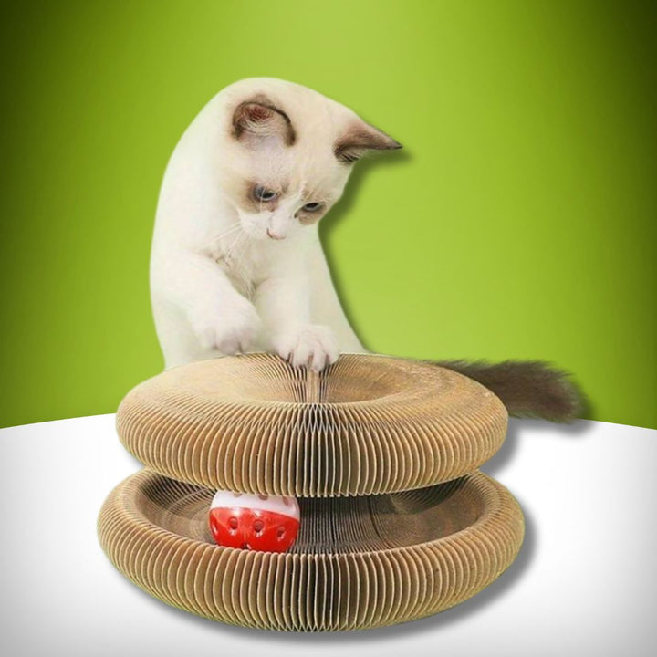 Magic Cat Toy Scratch Sphere