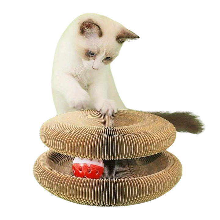 Magic Cat Toy Scratch Sphere